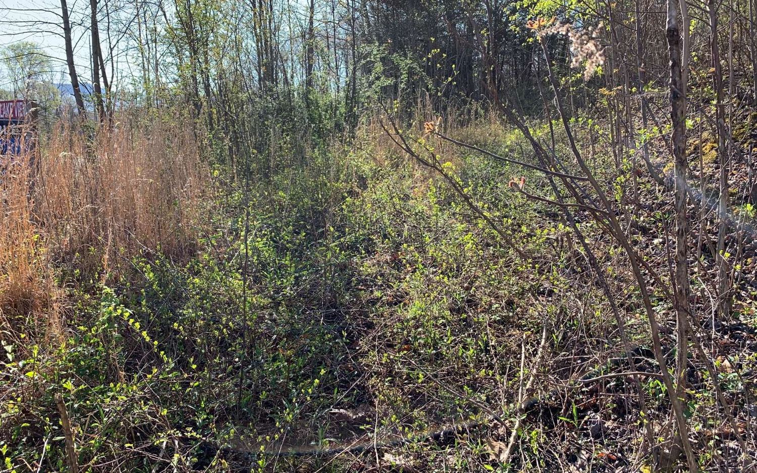 HIGHWAY 76 WEST: HIGHWAY 76 WEST, Hiawassee, GA 30546